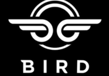 Bird Branding: A Case Study