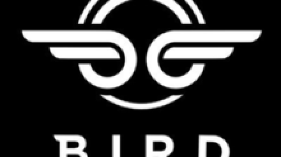 Bird Branding: A Case Study